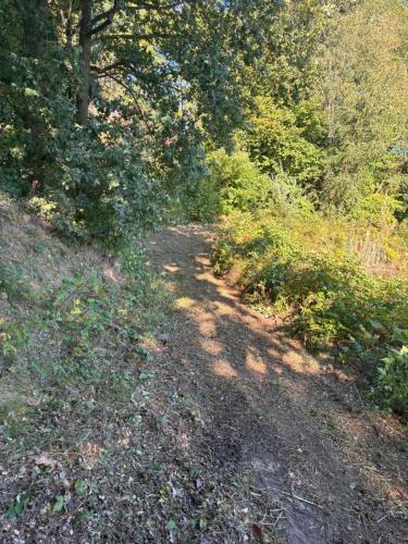 597b7b34-fbc5-47c0-a0c6-4840fec33518