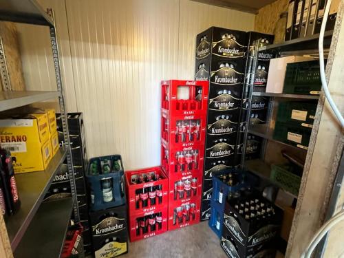 PHOTO-2025-03-29-12-53-54