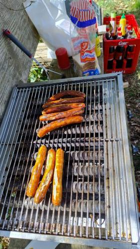 PHOTO-2025-04-19-13-20-02